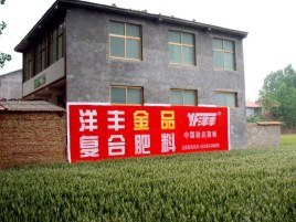 潜江如何让墙体广告展现最大化效果