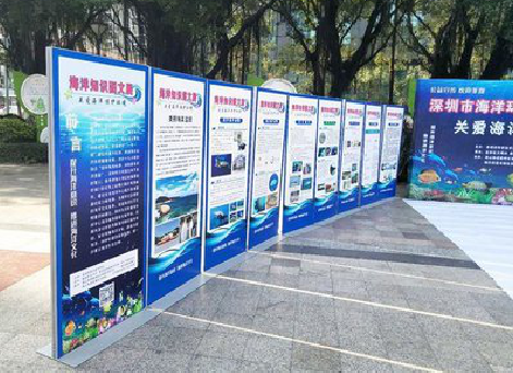 潜江KT板的种类和知识。